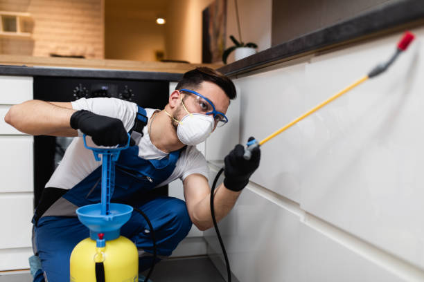 Best Affordable Pest Control Services  in Rye Brook, NY
