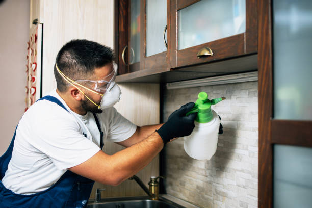 Best Termite Control Services  in Rye Brook, NY