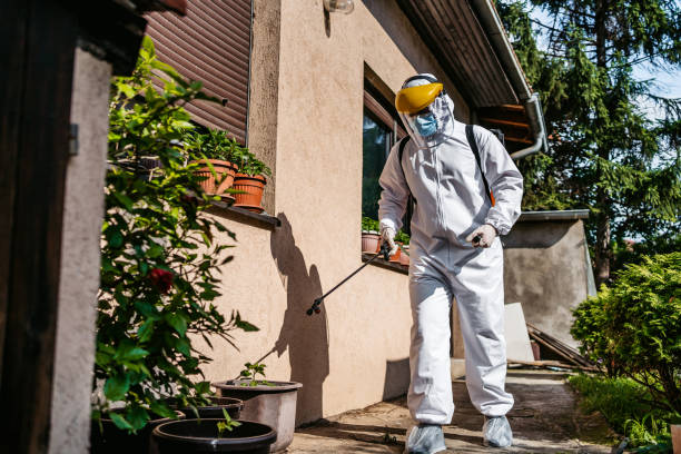 Best Pest Removal Services  in Rye Brook, NY