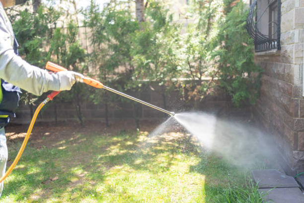 Best Affordable Pest Control Services  in Rye Brook, NY