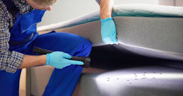 Pest Control Cost in Rye Brook, NY
