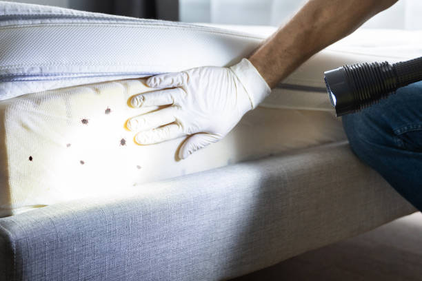 Best Exterminator Services  in Rye Brook, NY