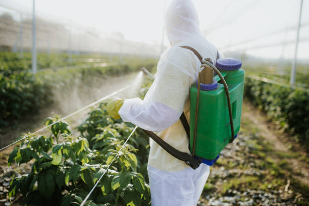 Professional Pest Control in Rye Brook, NY